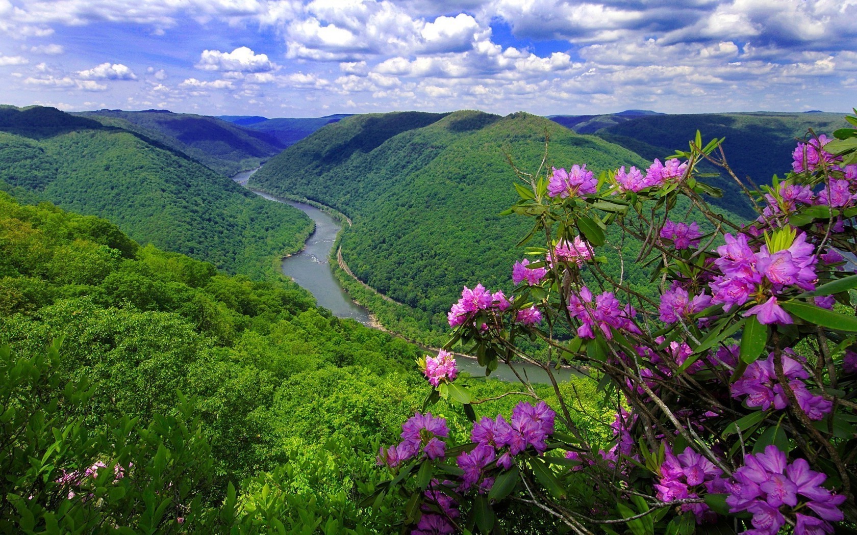 реки пруды и ручьи прудов и ручьев природа пейзаж на открытом воздухе горы лето путешествия древесины дерево среды