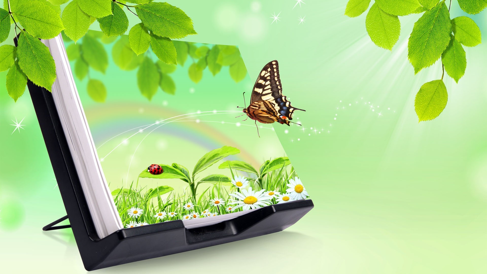 бабочка природа лист лето флора сад рабочего стола насекомое дерево