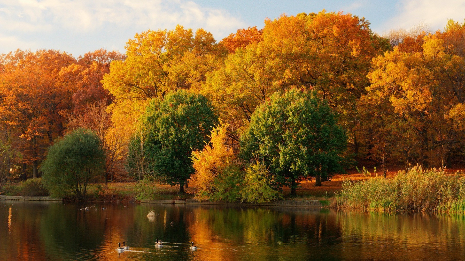 озера осень дерево природа лист воды река на открытом воздухе пейзаж рассвет древесины отражение парк хладнокровие закат живописный яркий бассейн хорошую погоду