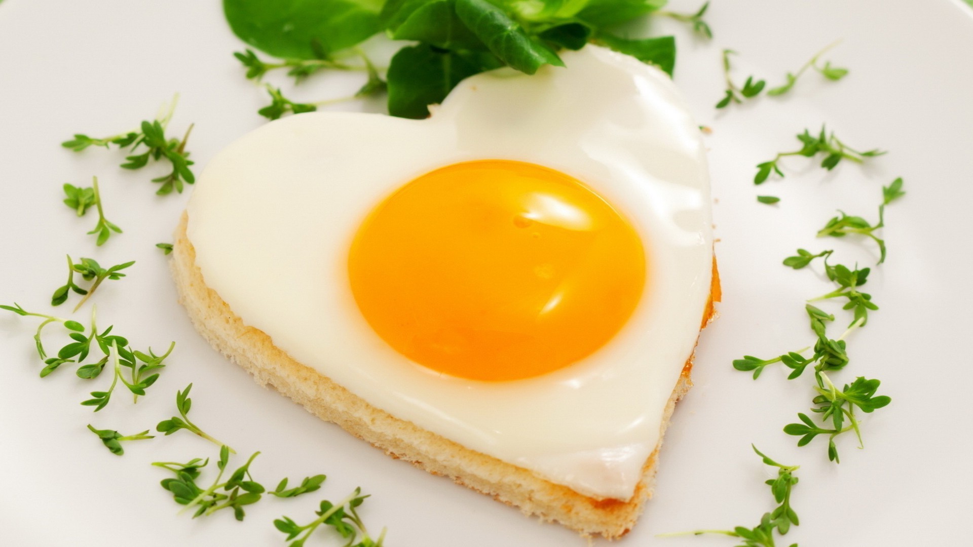 завтраки яйцо яичный желток еда питание тост вкусные молочными продуктами рассвет питание обед приготовление лист хлеб масло здоровый плиты холестерин