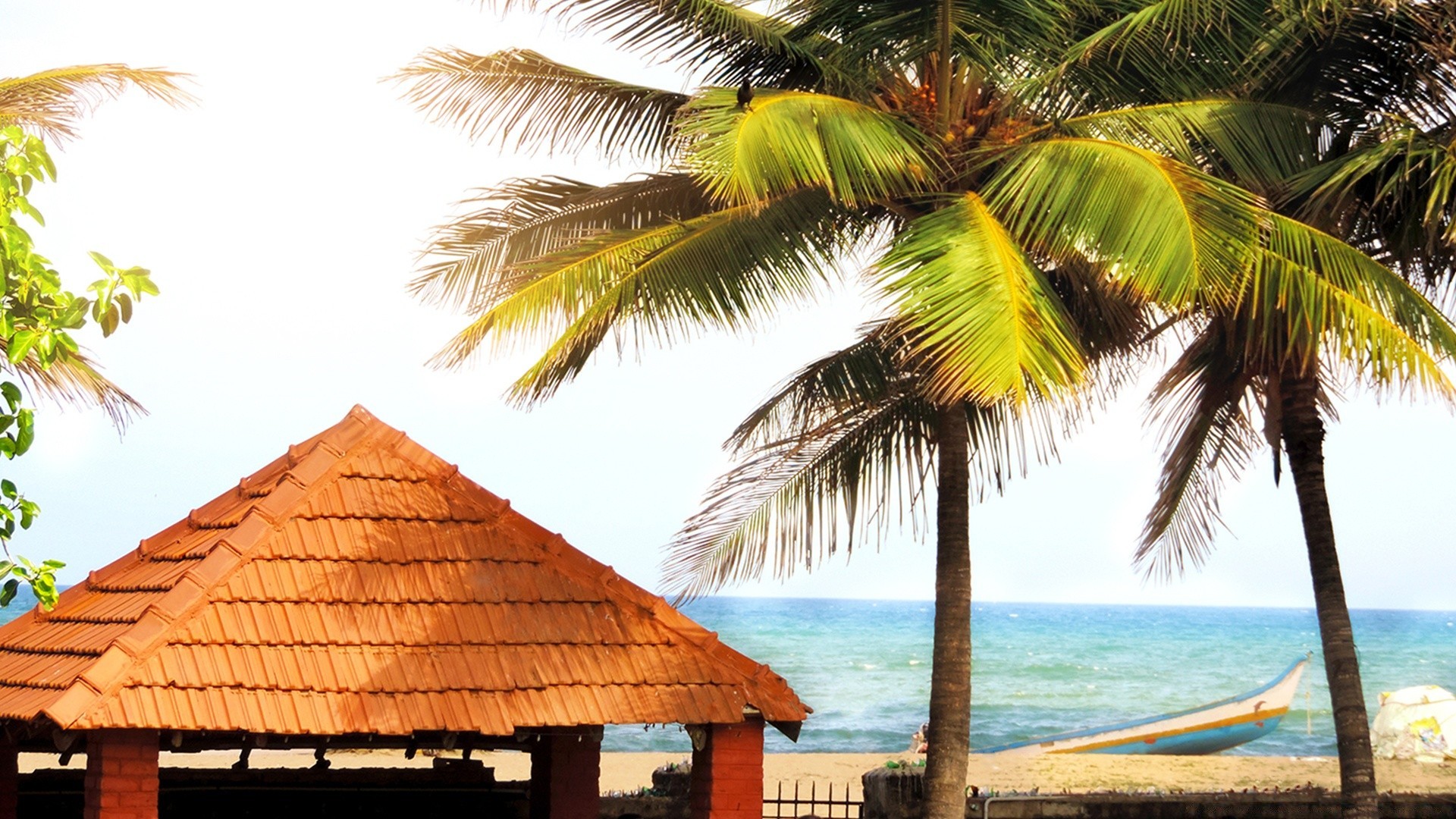 море и океан ладони тропический пляж курорт экзотические рай отпуск песок остров лето моря кокосовое релаксация идиллия солнце океан путешествия избушка отель