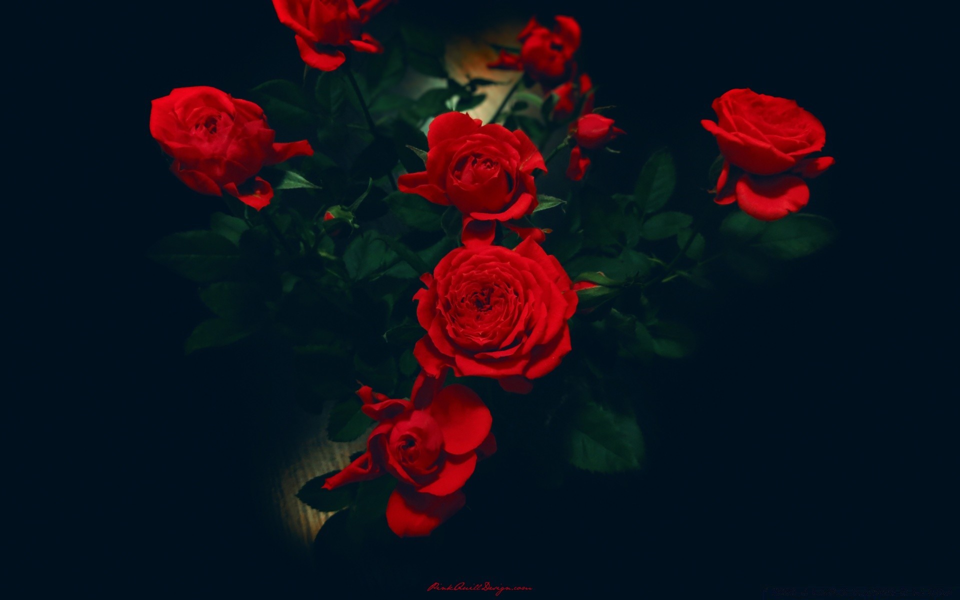 цветы роза цветок романтика романтический лепесток любовь рабочего стола цветочные цвет природа украшения флора букет лист