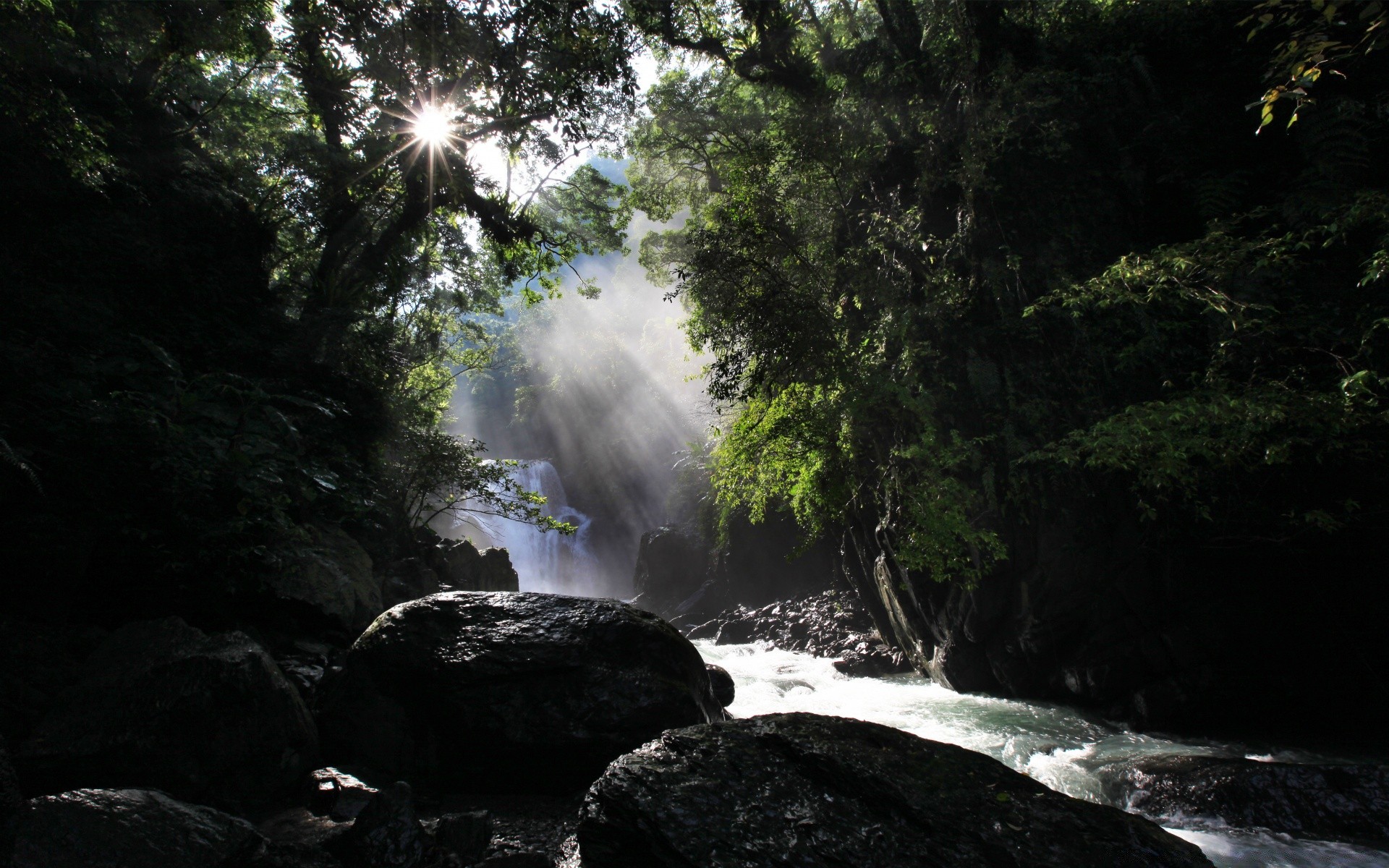 лес воды водопад река природа пейзаж поток рок древесины путешествия на открытом воздухе дерево движения