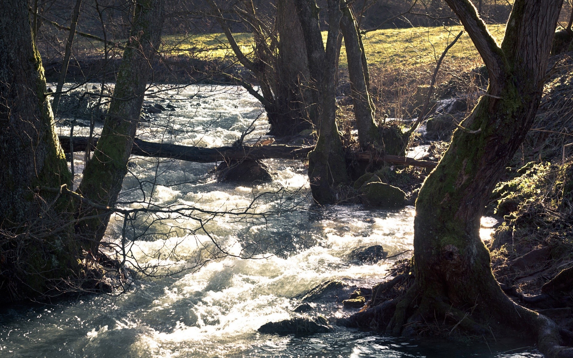 реки пруды и ручьи прудов и ручьев воды дерево древесины природа пейзаж на открытом воздухе осень река путешествия среды лист парк поток живописный