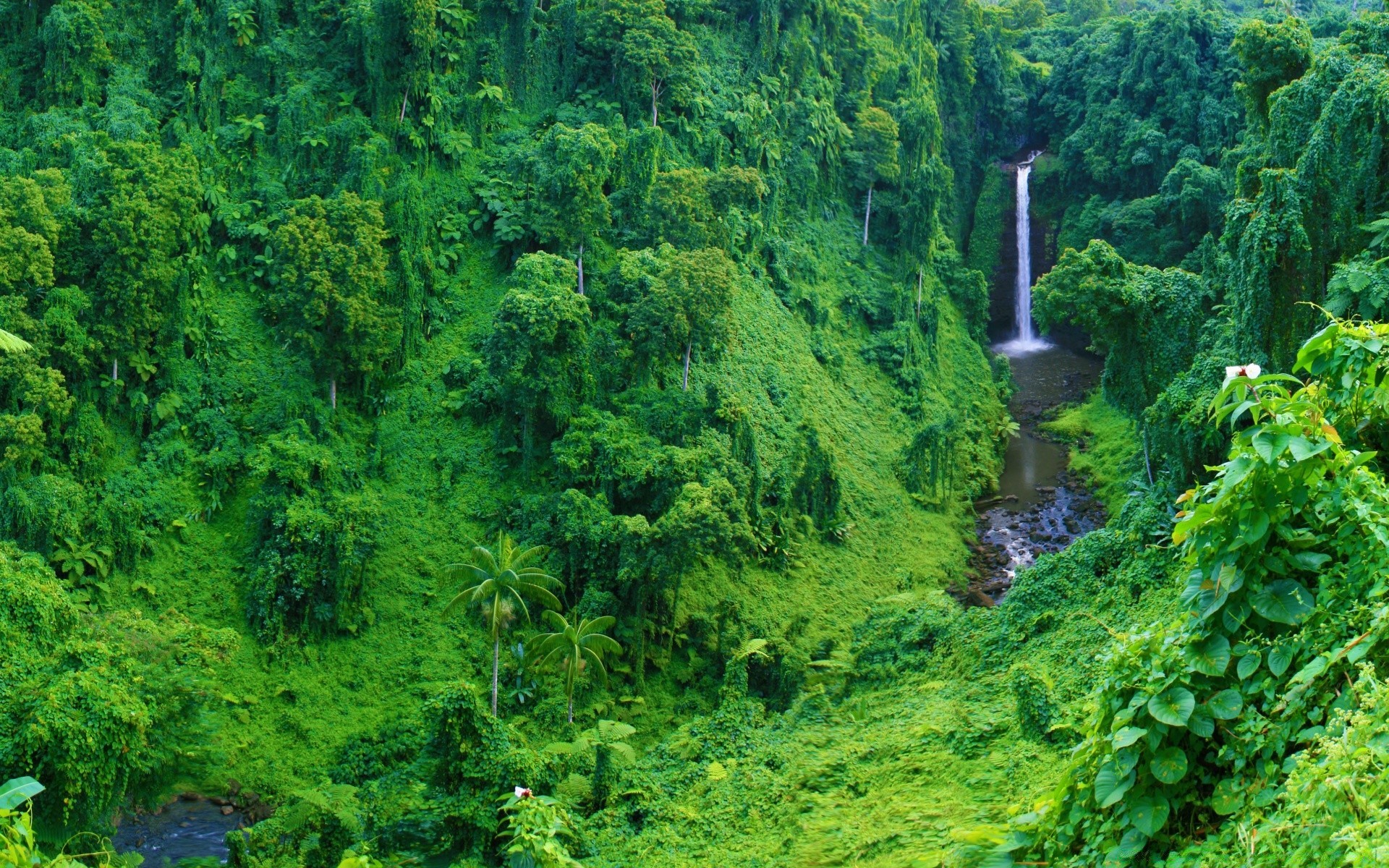 водопады природа древесины лист воды дерево пейзаж флора лето на открытом воздухе пышные живописный путешествия среды река тропический лес горы парк рост