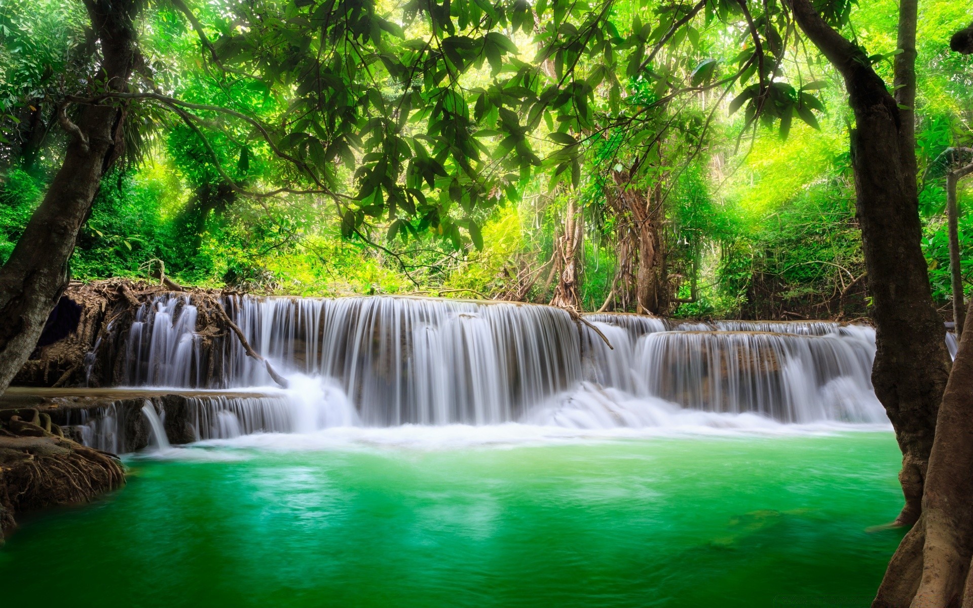 водопады воды водопад природа древесины поток поток тропический движения каскад река рай путешествия лист джунгли на открытом воздухе рок всплеск парк красивые