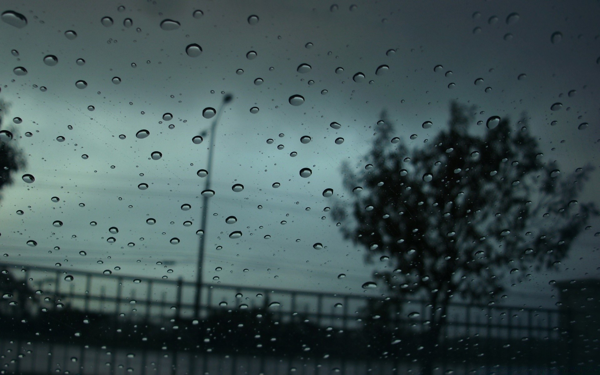 осень дождь падение мокрый капли дождей росы всплеск пузырь жидкость аннотация стекло чистые воды капли рабочего стола пить понятно текстура окна
