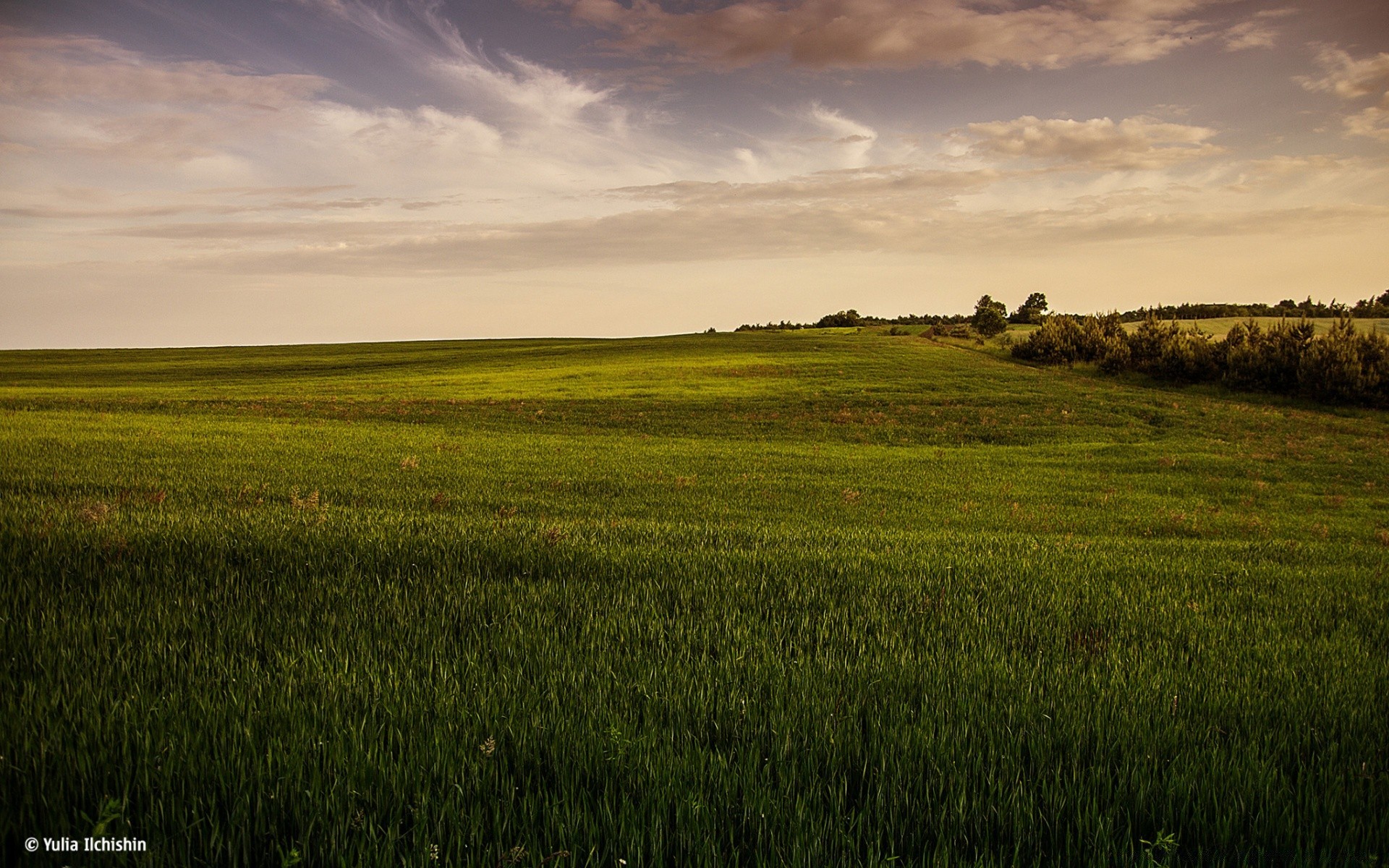пейзажи пейзаж сельское хозяйство возделываемые земли сельской местности природа трава сельских поле рассвет закат на открытом воздухе небо солнце пастбище ферма пшеницы