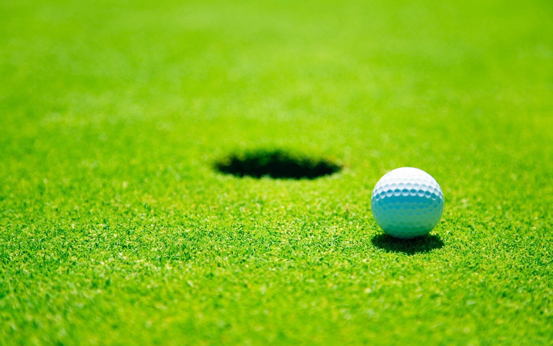 гольф трава мяч гольфист бип конечно тройник газон клуб лето отдых природа