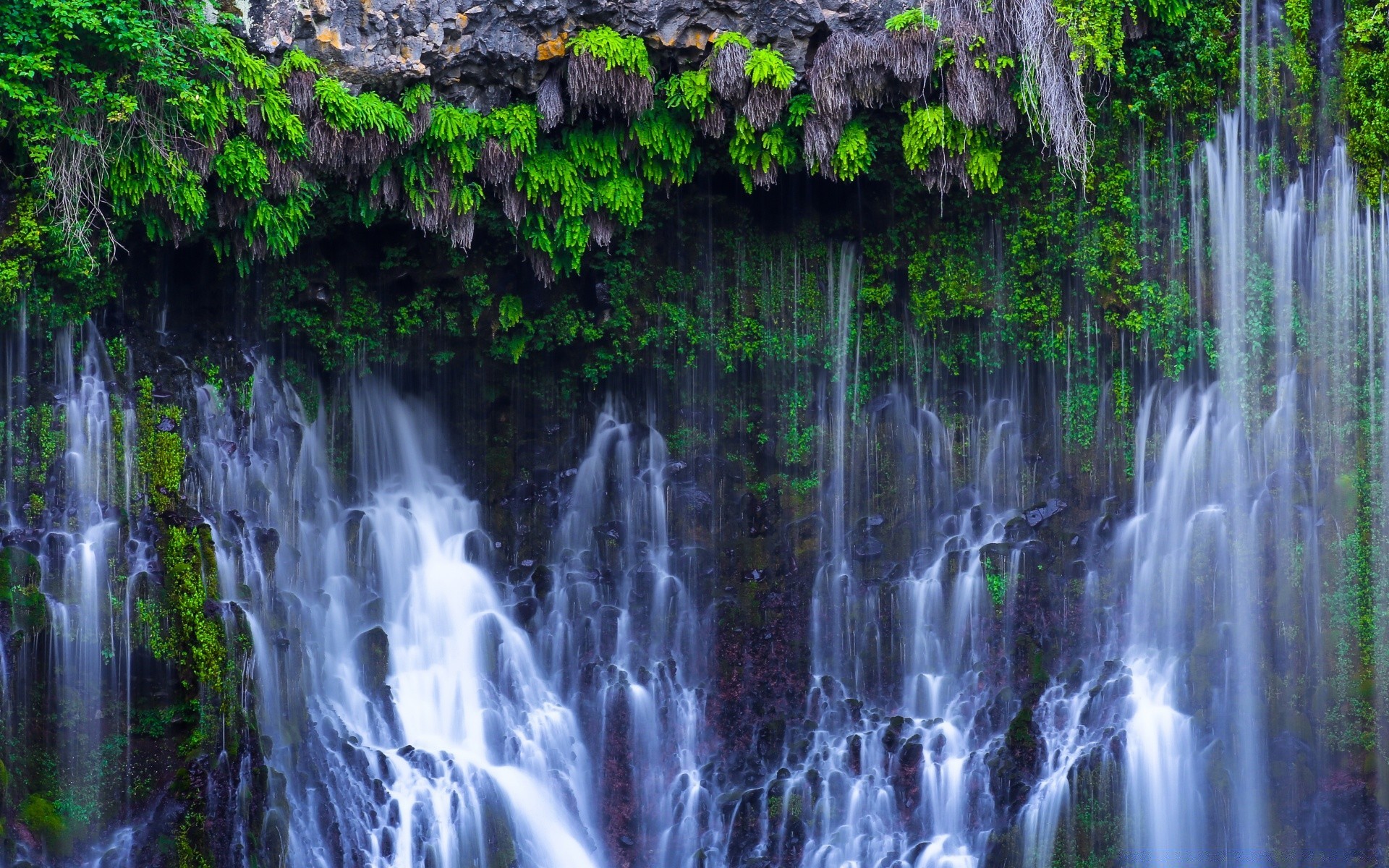 америка водопад воды природа поток лист каскад древесины мокрый река поток флора на открытом воздухе осень тропический парк движения пейзаж джунгли всплеск