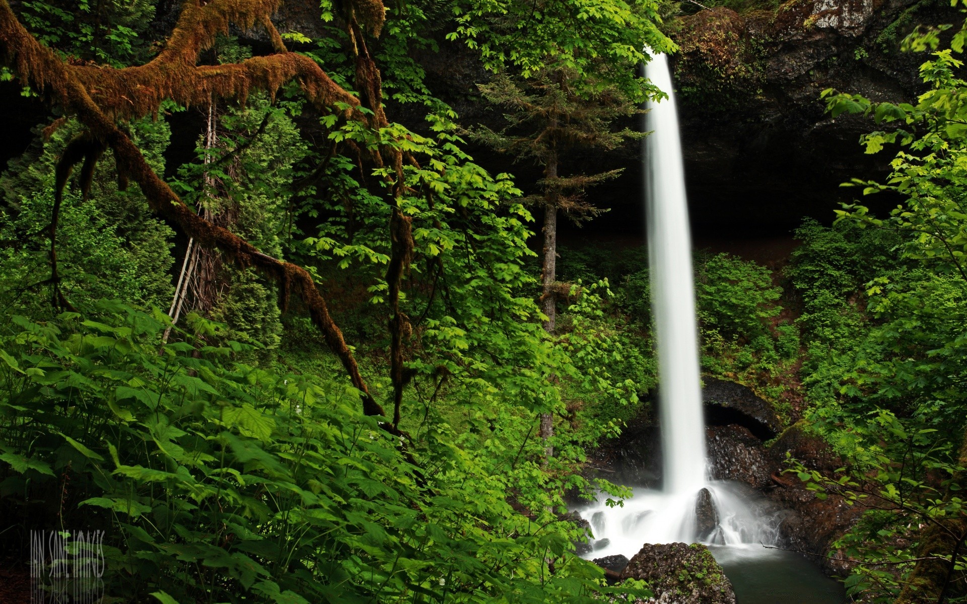 америка воды древесины водопад на открытом воздухе природа путешествия лист река дерево пышные поток пейзаж
