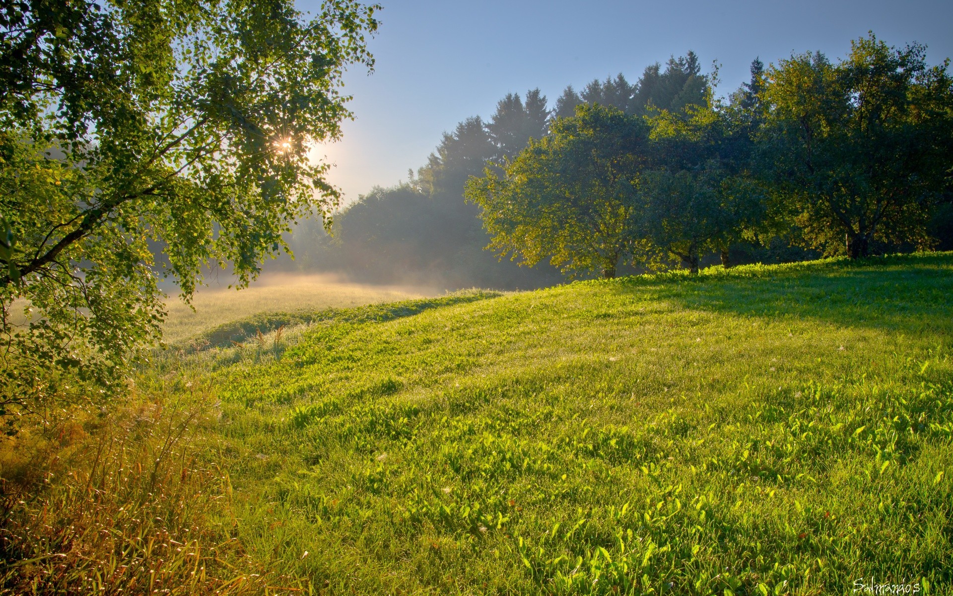 пейзажи пейзаж дерево природа сенокос трава поле сельской местности живописный лето сельских среды на открытом воздухе сельское хозяйство древесины идиллия страна небо рассвет дневной свет