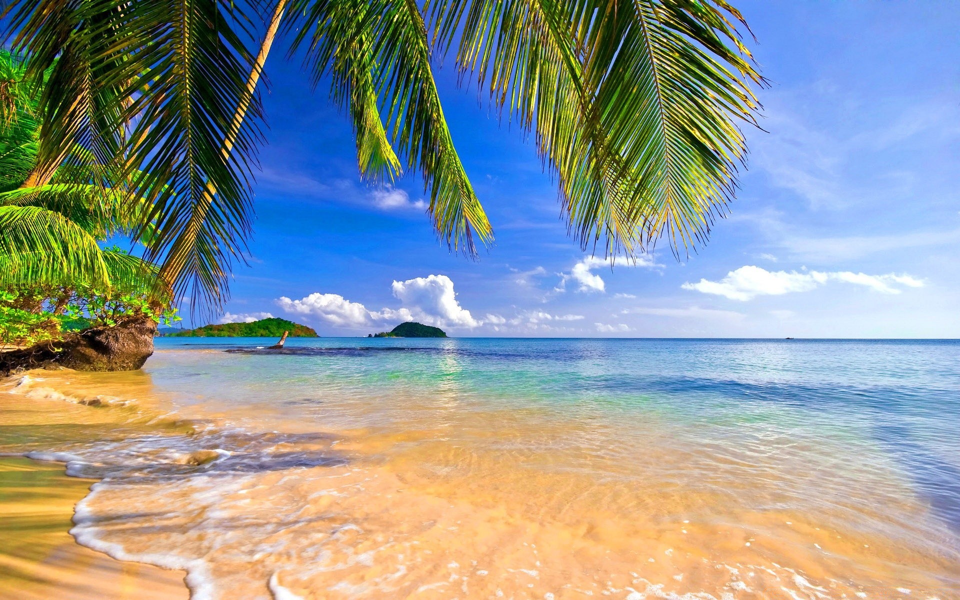 острова тропический пляж песок моря лето воды океан путешествия рай ладони отпуск остров экзотические пейзаж идиллия солнце релаксация кокосовое курорт