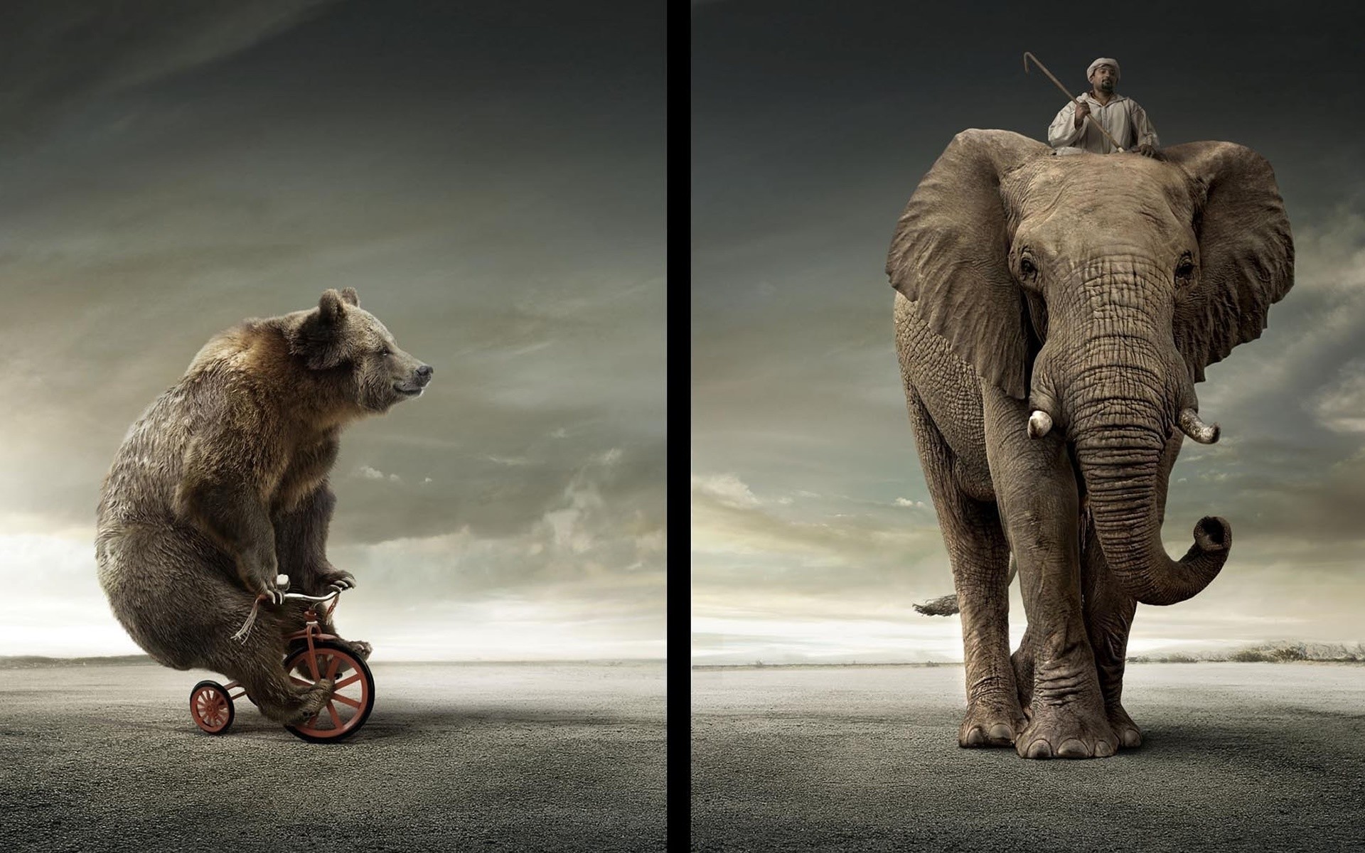 tiere säugetier tier elefant eins tierwelt porträt zwei digital kunst elefanten
