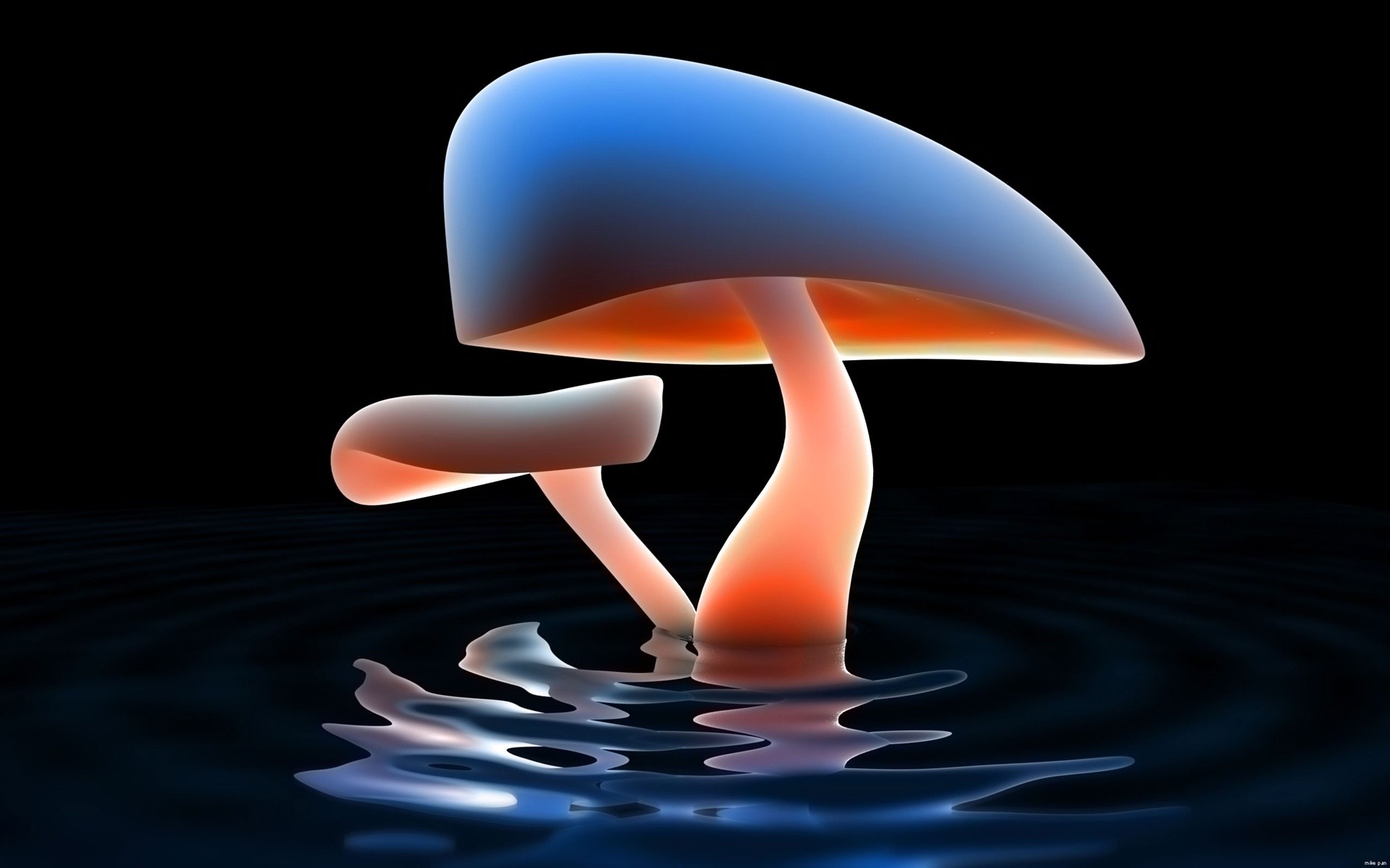 astrazione desktop illustrazione fungo lago neon