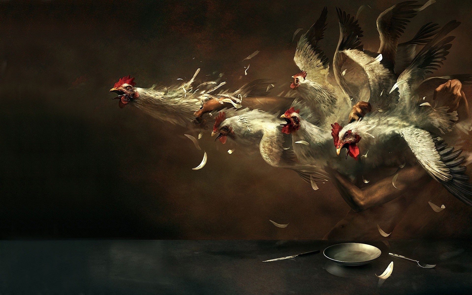 animali uccello uccelli concorso acqua azione anatra fauna selvatica colomba movimento animale nuoto polli