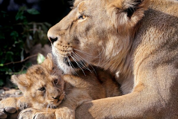 Nothing is scary with Mom