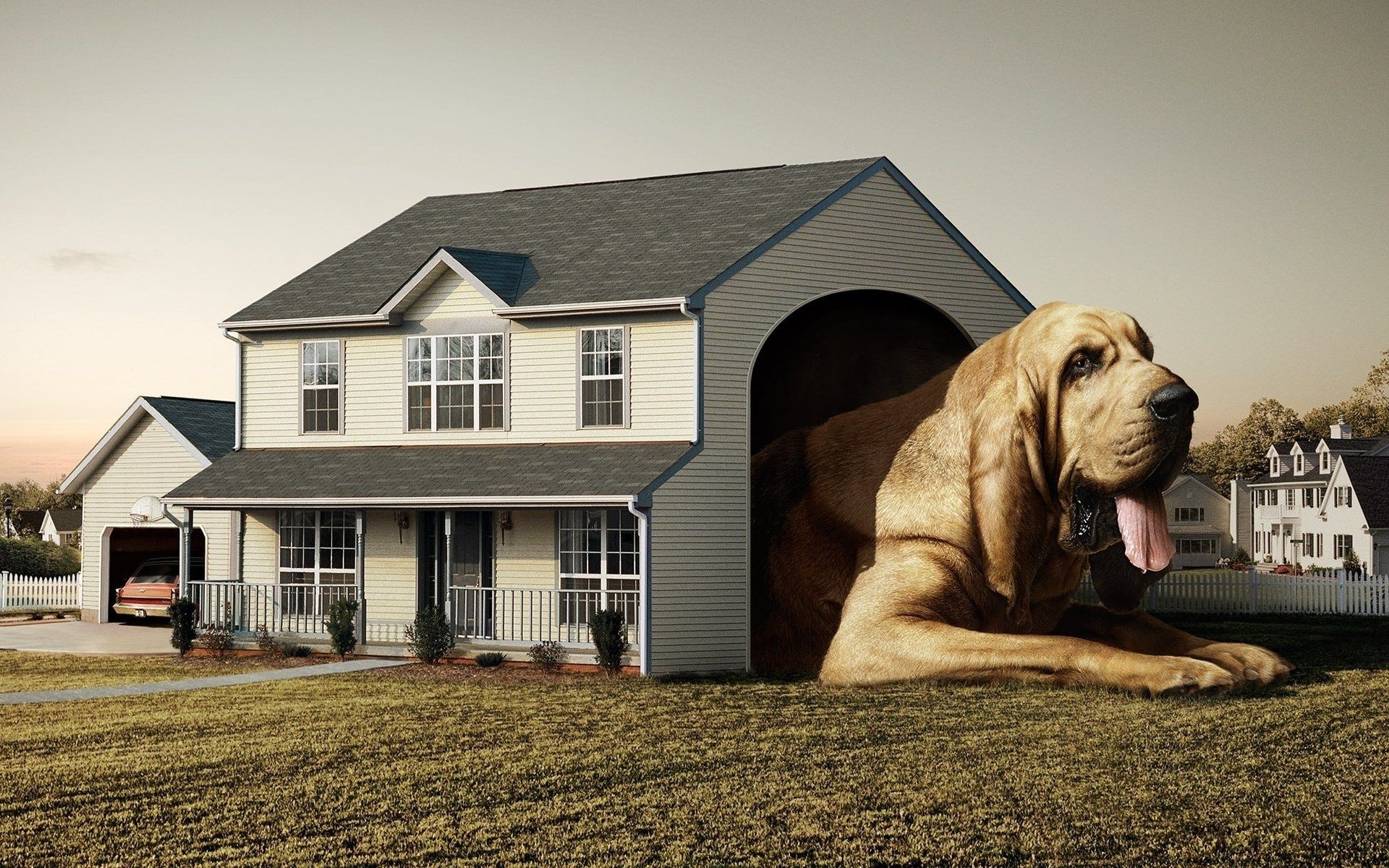 photo manipulation house family home dog architecture building