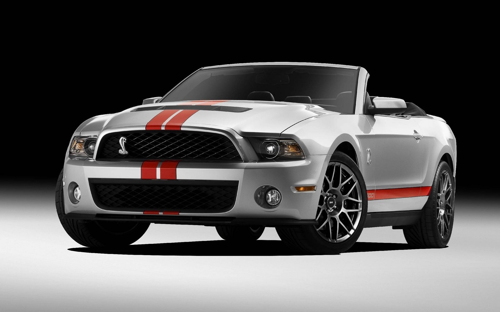 ford car vehicle race fast automotive wheel noon transportation system drive action ford shelby shelby