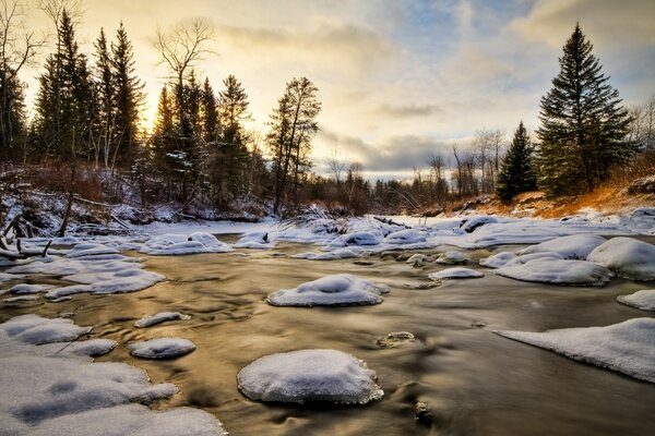 Forêt d hiver enneigée avec ruisseau qui coule