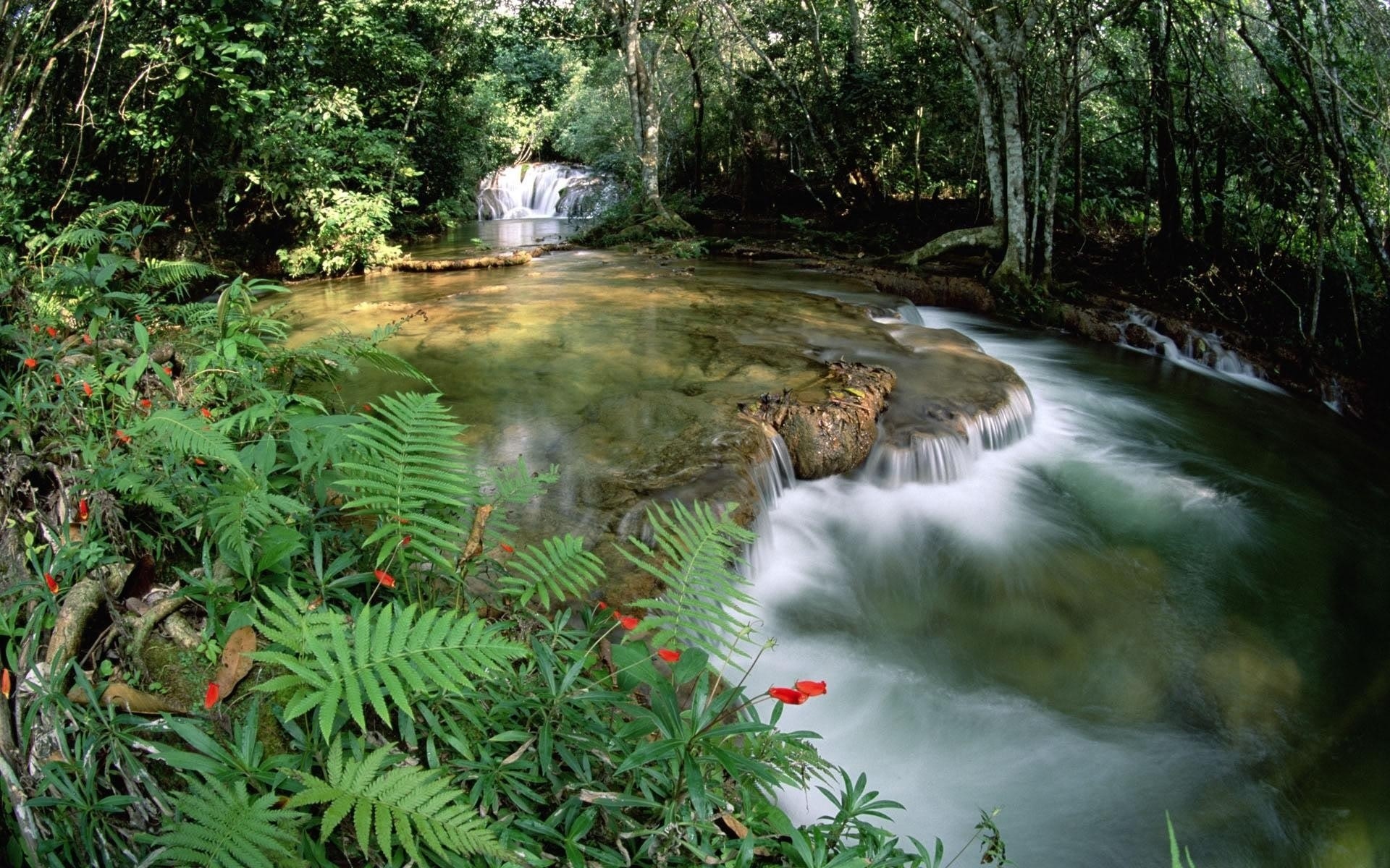 природа водопад река трава деревья загрузить