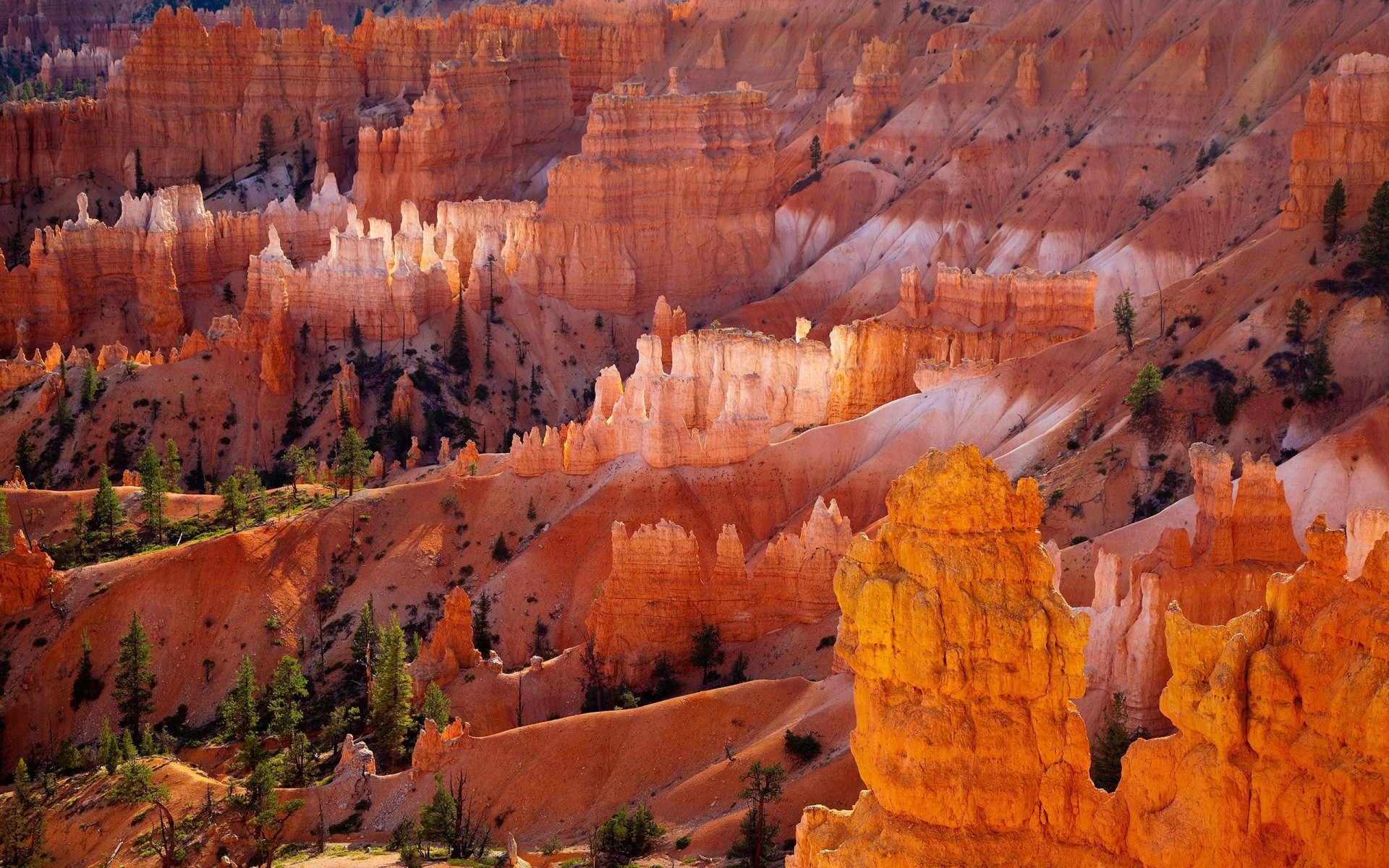 landschaft im freien schlucht reisen sandstein geologie landschaft landschaftlich herbst natur amphitheater park erosion pinnacle rock