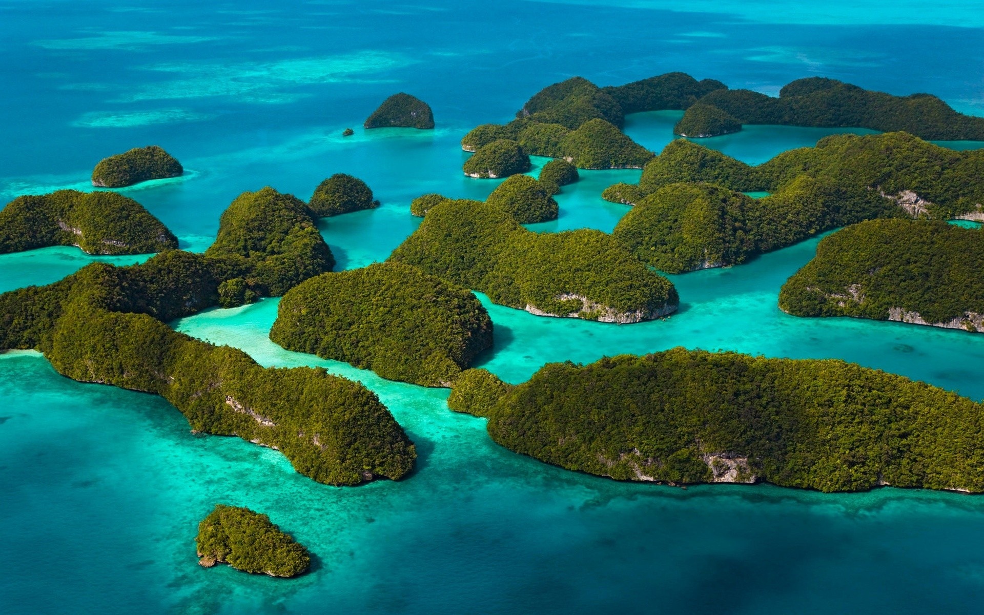 paisagens água debaixo d água oceano mar viagens paisagem tropical recife coral natureza turquesa paisagem ilha