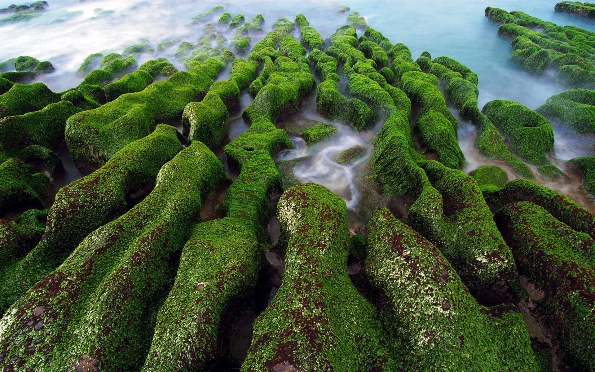 paisaje naturaleza musgo agua flora paisaje hoja al aire libre árbol verano escritorio madera roca