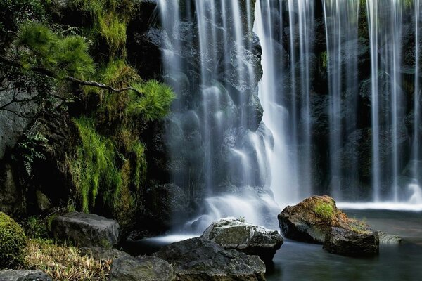 Bella cascata del fiume di montagna