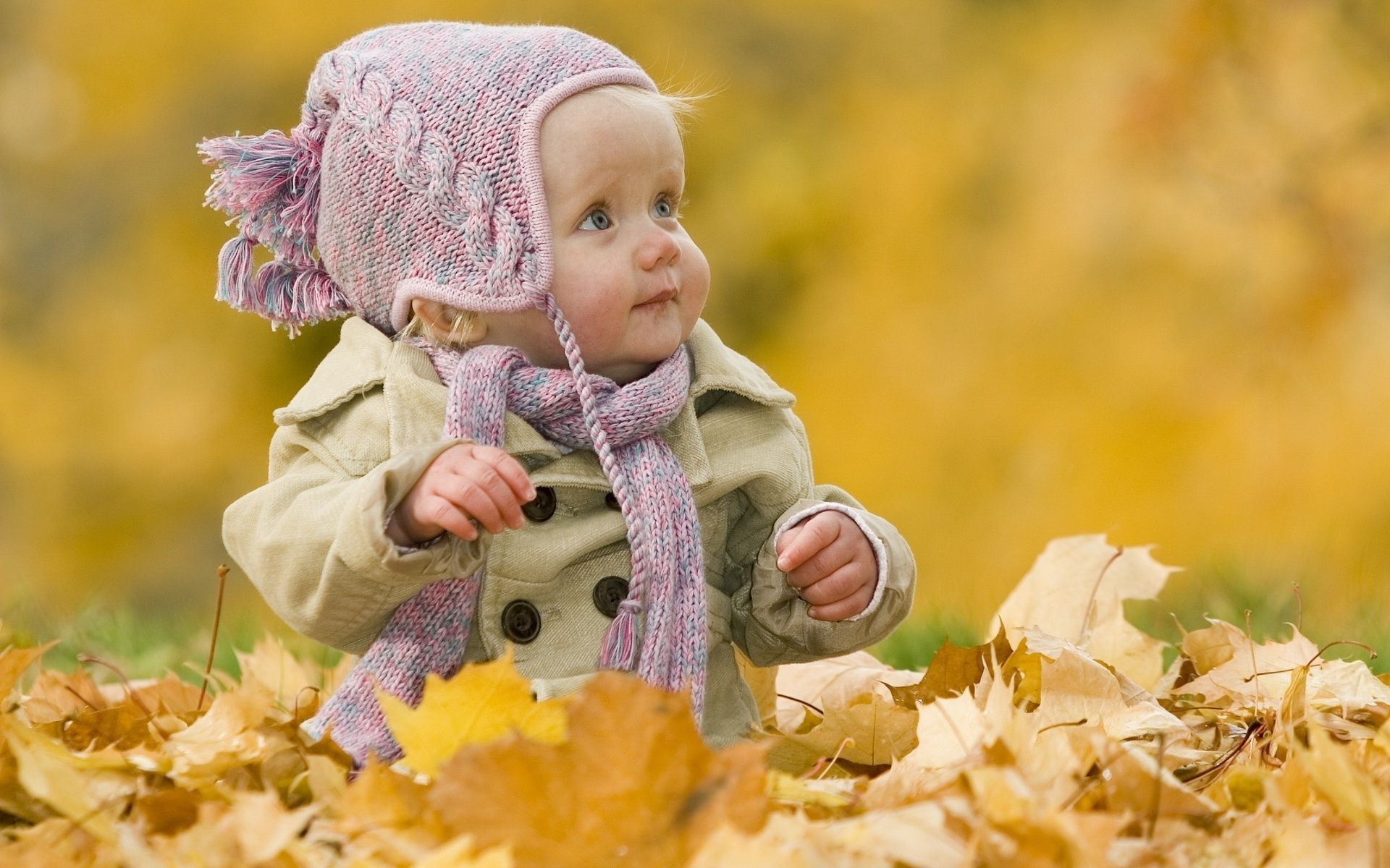 children in nature fall nature child park maple outdoors little cute fun leaf girl happiness grass season outside beautiful leisure smile