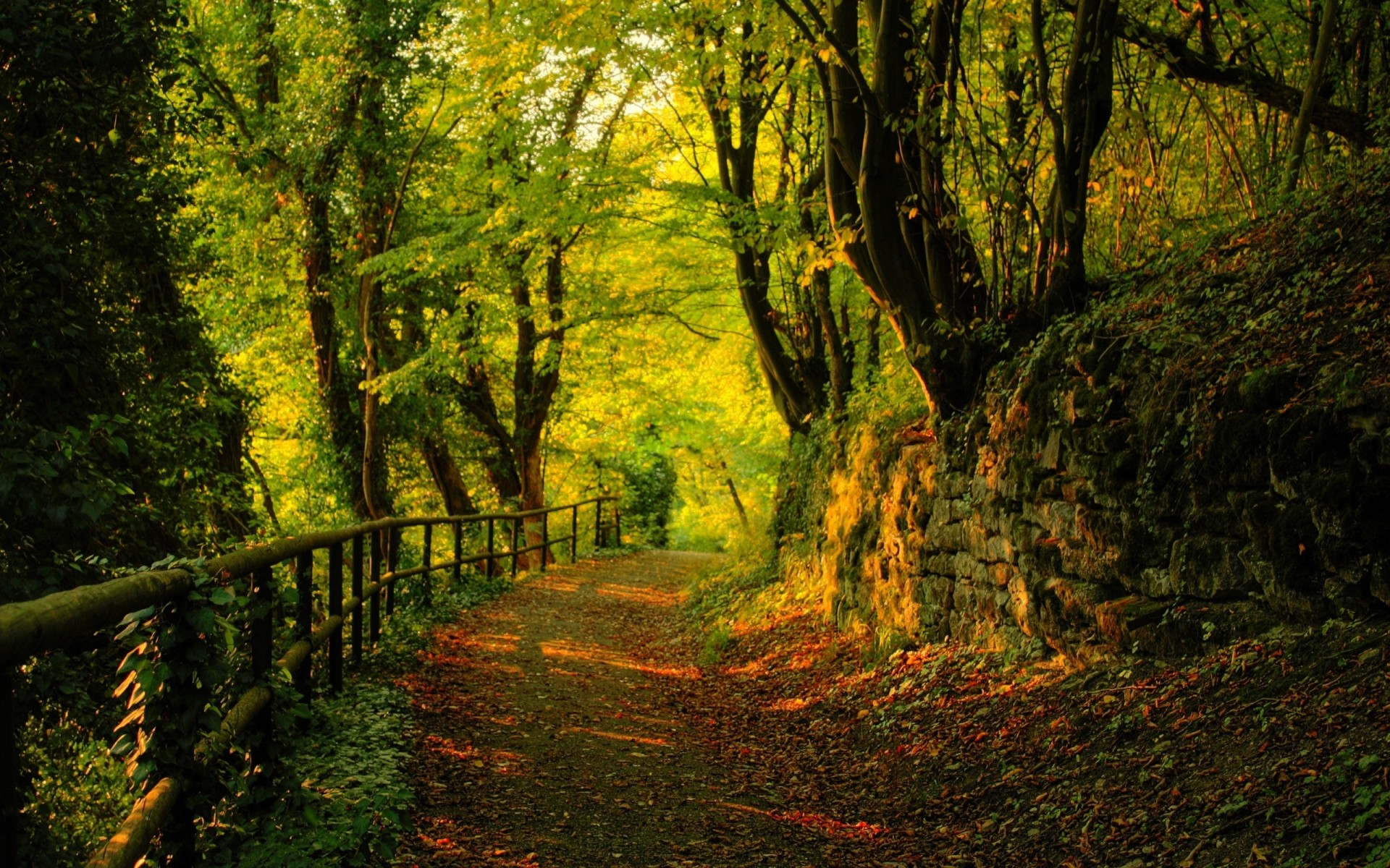 otoño madera otoño hoja paisaje árbol naturaleza amanecer parque guía buen tiempo exuberante escénico sendero al aire libre sol niebla carretera sendero medio ambiente