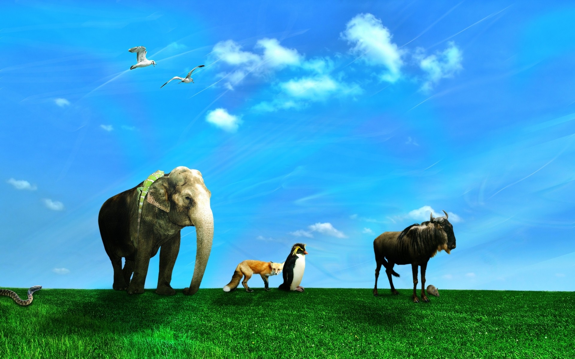 animals grass mammal animal hayfield field farm grassland sky landscape outdoors wildlife nature elephant