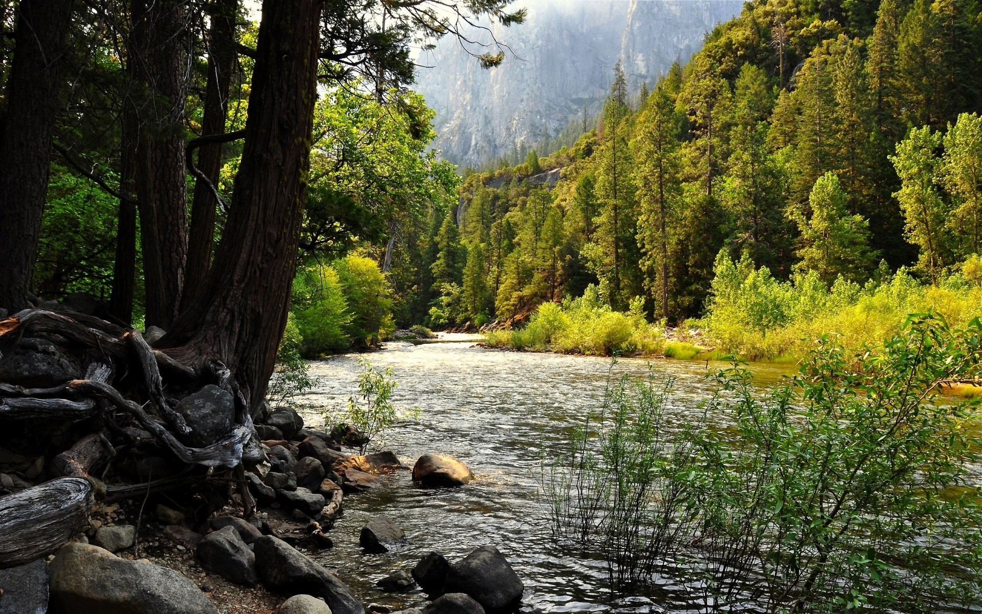 landschaft wasser holz fluss natur holz landschaft im freien reisen landschaftlich fluss park see blatt herbst berge sommer umwelt