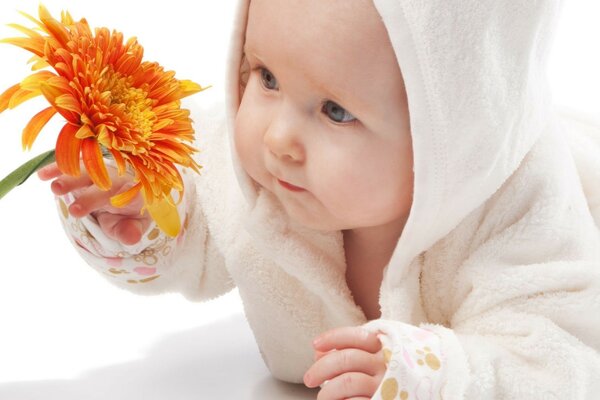 Bebê bonito olha para uma flor brilhante