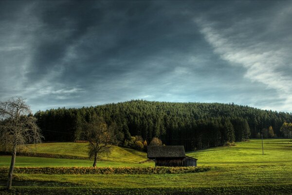 Ein einsamer Baum in einer wunderschönen Landschaft