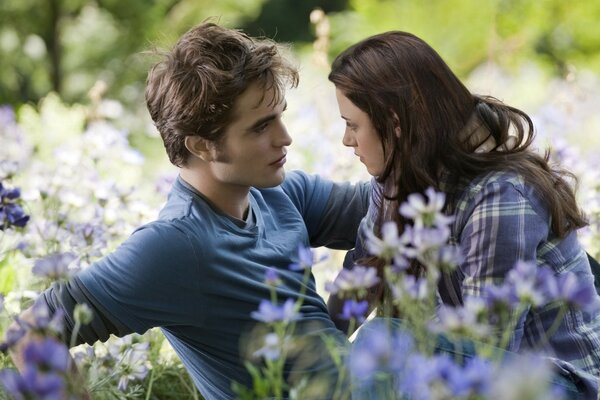 Cadre du film Twilight en plein air