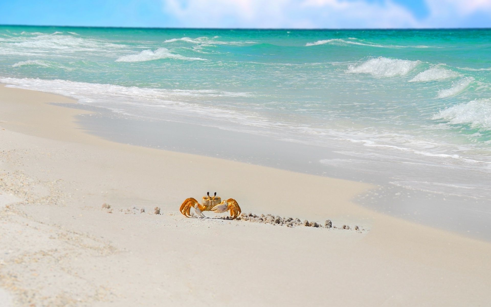 meer und ozean strand sand meer wasser ozean meer reisen welle urlaub brandung sommer resort tropisch himmel insel landschaft gutes wetter entspannung sonne