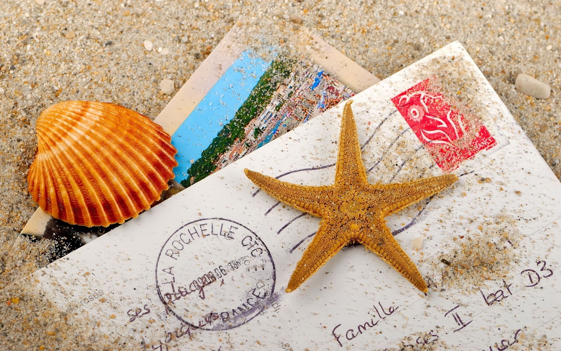 meer und ozean seestern muscheln sand schale strand meer meer entspannung sommer conch natur muscheln tropisch jakobsmuschel souvenir reisen urlaub nadelhäute marine