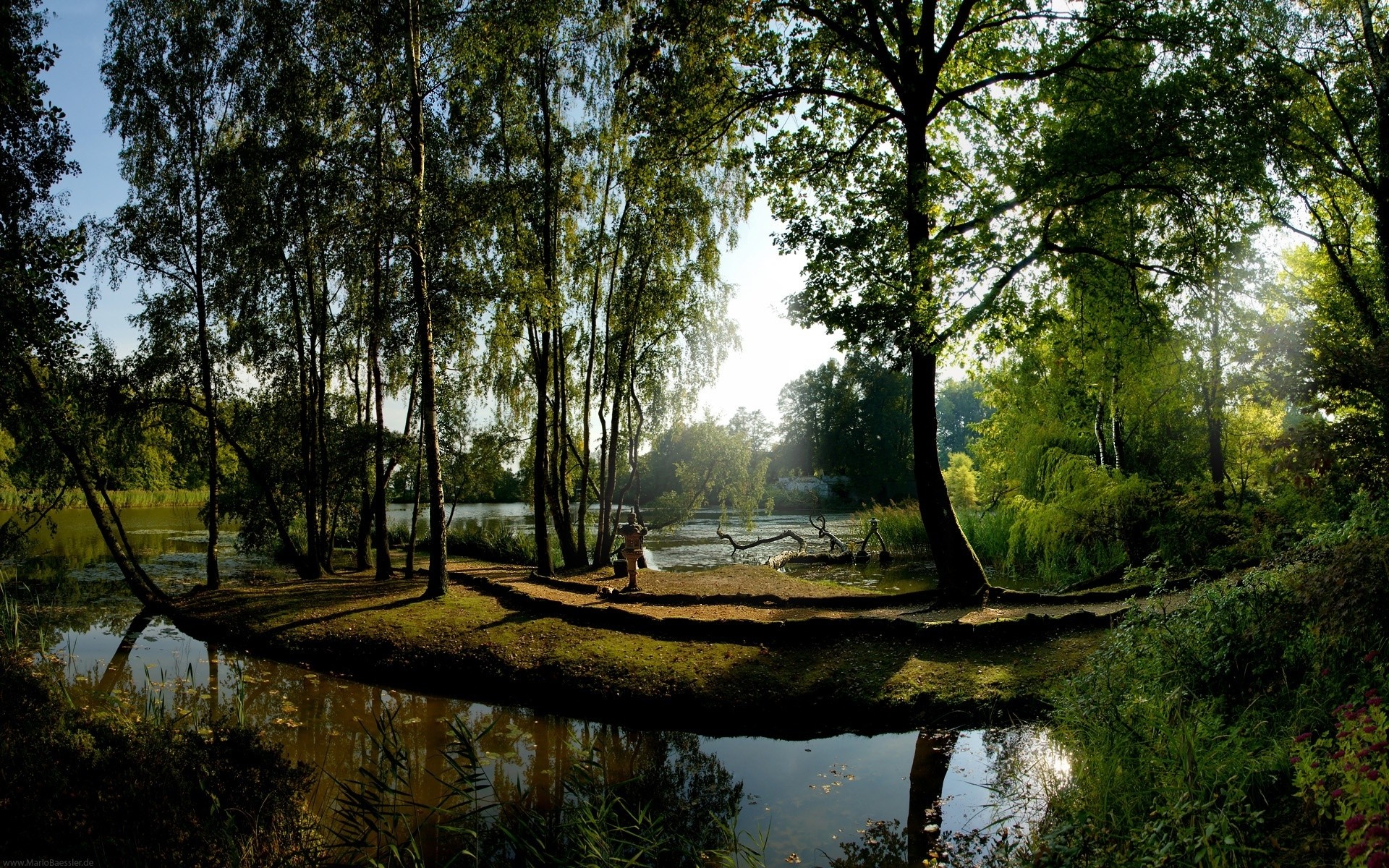 landscapes tree nature wood water landscape reflection leaf dawn park outdoors river lake fair weather pool sun summer environment light composure