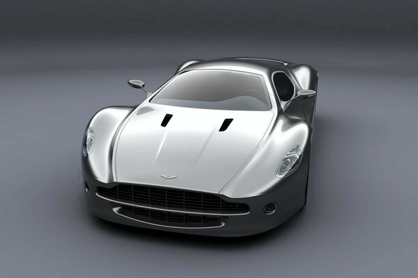 Aston Martin dipinto in argento