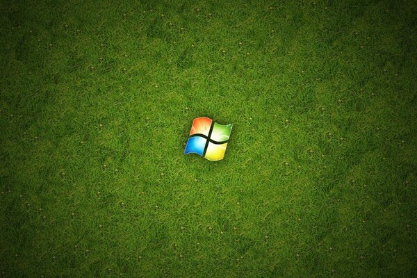 Desktop screensaver windows play button on a green background