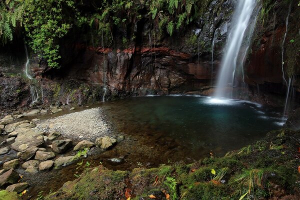 Un beau bol confortable d une petite cascade