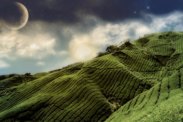 The moon and dawn illuminate the fields on the hillsides