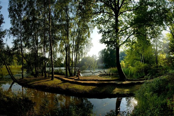 Un fiume calmo scorre attraverso la foresta verde