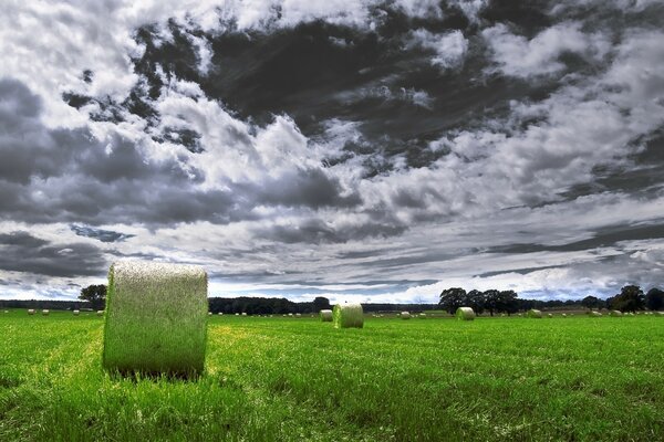 Prairie d émeraude sous un ciel nuageux