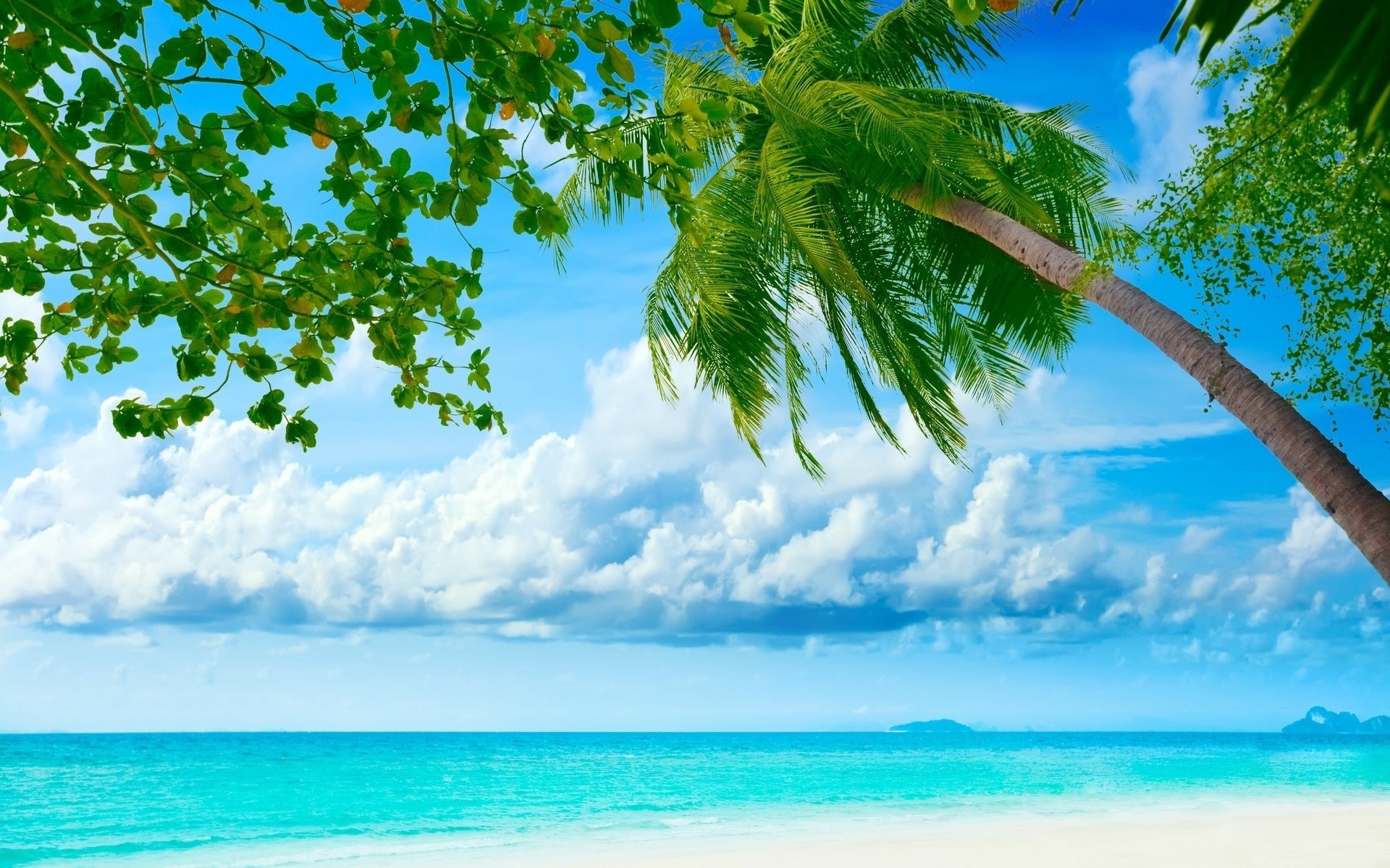 sea and ocean summer tropical sun nature water idyllic beach sky tree fair weather sand paradise turquoise travel island seascape exotic ocean landscape