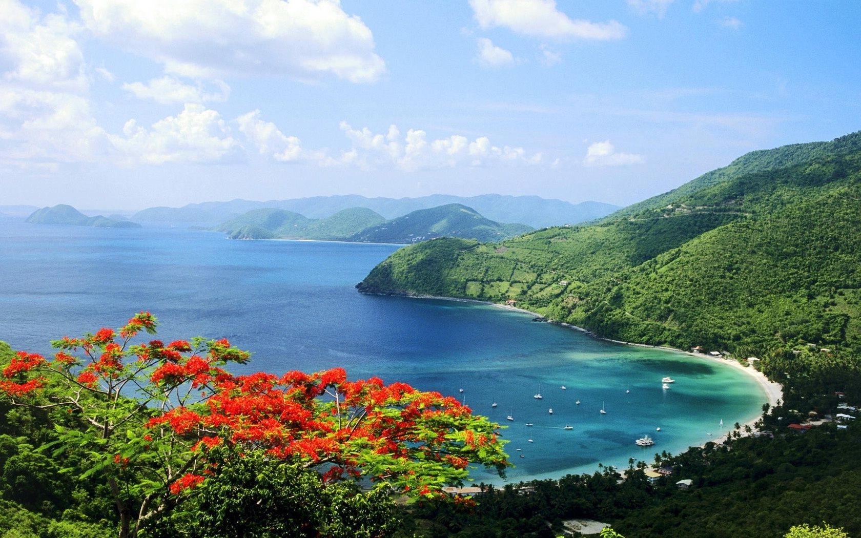 blumen wasser reisen meer natur insel landschaft im freien himmel baum sommer strand meer berge tageslicht landschaftlich tropisch bucht ozean