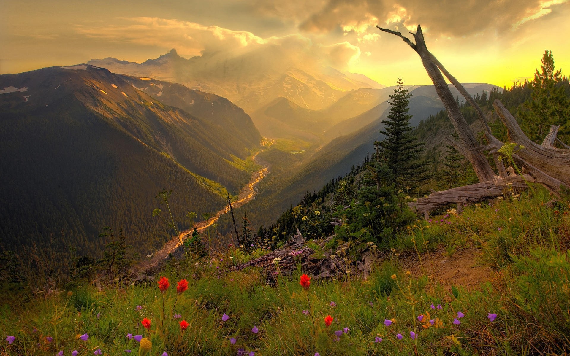 paisaje montaña paisaje viajes al aire libre naturaleza cielo puesta de sol valle amanecer árbol colina escénico luz del día madera hierba pastizales