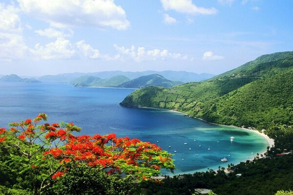 Islas tropicales con hermosos paisajes