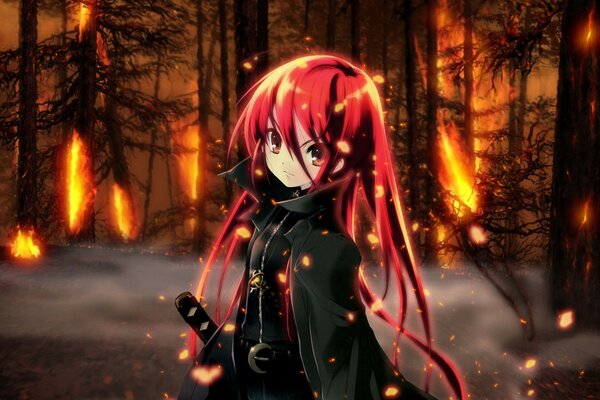 Image d anime d une fille dans une forêt en feu